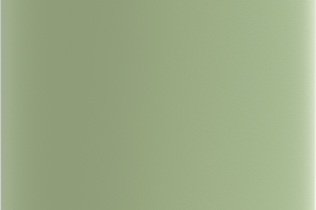 sigg therm one (2).png